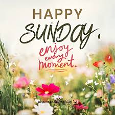 Good Morning Sunday| Happy Sunday | Hello Sunday | Happy weekend| Good  morning quotes #happysunday #happysundayeveryone #happyweekend #sunday  #goodmorningsunday #goodmorning #goodmorningpost #goodmorningquotes  #inspirationalquotes #inspirationalquotes1801