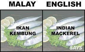 Ikan patin adalah sekelompok ikan berkumis (siluriformes) yang termasuk dalam genus pangasius, famili pangasiidae. What S Ikan Patin In English Here Are 17 Translations Of Fish Malaysians Love