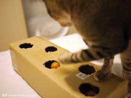 Gabulle In Wonderland Diy 10 Jouets Pour Chat A Faire Soi Meme Jouet Pour Chat Jeux Pour Chat Jouets Pour Chat Faits Maison