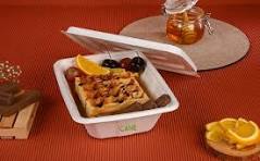 Cane India - Bagasse Container With Lid Detail