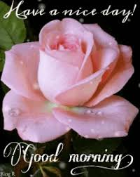 Good Morning Rose Gifs Tenor 160 pieces of good morning gif animation. good morning rose gifs tenor