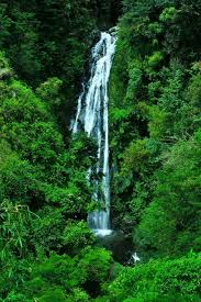 Objek Wisata Curug Muara Jaya Keindahan Air Terjung Bertingkat Reresepan Air Terjun Kemah Pedesaan