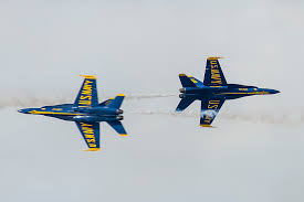 Image result for Blue 2018 Fleet