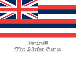 Color the cross red with white borders on a blue background. Large Horizontal Printable Hawaii State Flag From Netstate Com