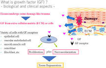 Image result for which is the only growth factor currently approved in the treatment of chronic ulcers?