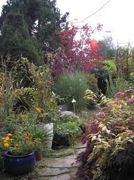 Profitieren sie von der erfahrung unserer mitarbeiterinnen und mitarbeiter. Gartenbau Schmitz
