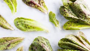 As a product of the fermentation process, buttermilk is naturally sour, however, if the smell or taste is extremely sour, it is a telltale that buttermilk is bad and should not be consumed. Why Spring Mix Salad Is The Worst Epicurious