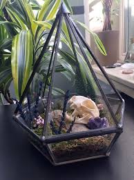 Geometric Terrarium Felis Catus Etsy Terrarium Geometric Terrarium Gothic Home Decor