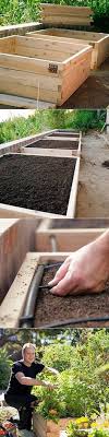 Self Watering Raised Bed Vegetable Garden Vegetable Garden Raised Beds Vegetable Beds Raised Veggie Garden
