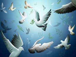 Download Free Hd Wallpapers And Photos Animated Gif 3d Wallpapers Free Moving Wallpapers Bird Wallpaper Moving Wallpapers