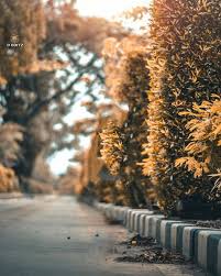 You can easily change the photo background and replace it with another one or edit your photo background exactly you want in a few clicks online, which makes your image more stunning. Best Cb Background Download Hd 2021 Cb Background Download For Editing