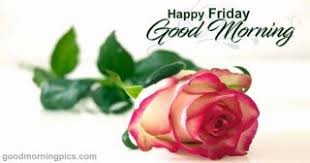 Good Morning Friday Pics Goodmorningpics Com As you hold the cup of tea, there are many things to see; good morning friday pics