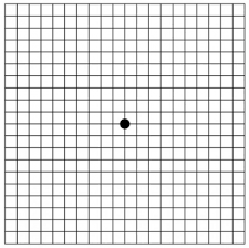 amsler grid eye test free printable pdf brightfocus foundation