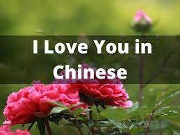 And this is a very typical case in a chinese family. How To Actually Say I Love You In Chinese Du Chinese Blog