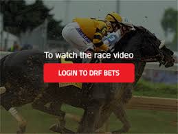 drf bets online horse race betting free pps expert analysis