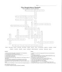 Respiratory System Crossword Puzzle Respiratory System Crossword Puzzle Respiratory
