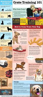 1 Have Dog Behavior Problems Learn About House Training A Puppy With An Older Dog And Dog Trainer Courses Z Crate Training Dog Dog Training Training Your Dog