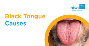 Image result for black tongue symptoms