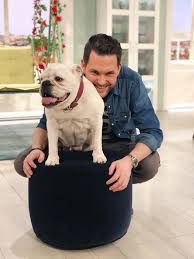 Ein hund verrichtet sein geschäft live im studio. Matthias Killing Ist Ein Sat 1 Fruhstucksfernsehen Facebook