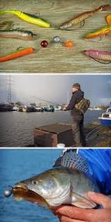 Flexibel Bleiben Angeln Zander Angeln Gefullter Fisch