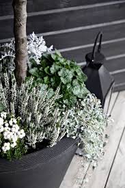 Notre Entree Prete Pour L Automne Jardin D Automne Jardinieres D Hiver Plante Pour Jardiniere