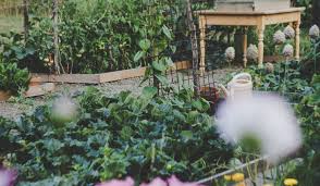 Comment Faire Un Petit Jardin Potager Troc Legumes