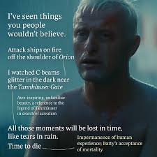 Image result for Brun Erable 1982 Fleet