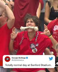 Georgia fan eats dog bone during game 😂 | Facebook