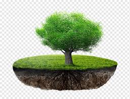 floating island float islands trees png pngwing floating island float islands trees