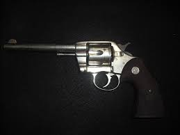 Image result for Grace Silver 1989 Colt