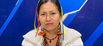 Traduciendo culturas: experiencias de traducción e interpretación