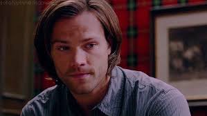 Supernatural Imagines, One Shots, & More — Words: 6,462 Sam x Reader  Warnings: none...
