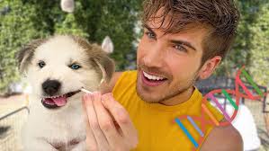 Joey Graceffa