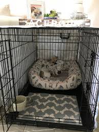 Because the best place to place the crate and begin crate training is in a high traffic area. Should Puppy Crate Be In Bedroom New Daily Offers Insutas Com