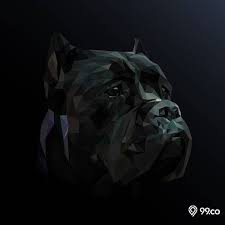 Serta juga gambar profil ngakak ini dapat anda jadikan sebagai komentar anda di chatting sebagai adu gambar. 20 Gambar Keren 3d Berbagai Tema Untuk Dekorasi Rumah