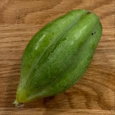 Image result for Vasconcellea pubescens