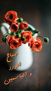 Ù…Ù†Ø´ÙˆØ±Ø§Øª ÙÙŠØ³ Ø¨ÙˆÙƒ Ù…Ø¶Ø­ÙƒØ© Ù„Ù„Ø¨Ù†Ø§Øª