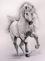 Pin On Drawings