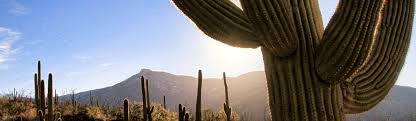 See actions taken by the people who manage and post content. Saguaro National Park U S National Park Service