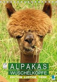 37 Alpaka Lustige Bilder Besten Bilder Von Ausmalbilder