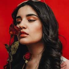 Welcome to Wonderland