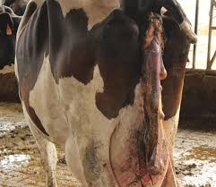 Presentación de PowerPoint