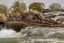 Image result for Inversodicraea