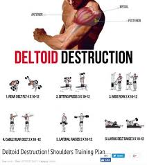 Get Powerful Deltoids With The Ultimate Bulking Stack That Consists Of 4 Legal Steroids And Do Not Have Side Deltoid Workout Shoulder Workout Shoulder Training