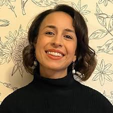 A Strange Thing Happened in Cherry Hall : Warga, Jasmine, Crouch, Michael:  Amazon.in: Books