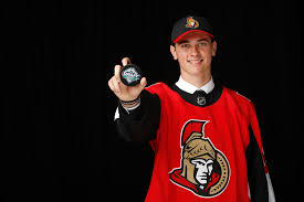 Nhl, the nhl shield, the word mark and image of the stanley cup and nhl conference logos are registered trademarks of the national hockey league. Ottawa Senators Top 8 Prospects Worth Getting Excited About