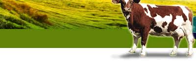 The product has been adequately pasteurized and. Welcome To F B Nutrition Sdb Bhd
