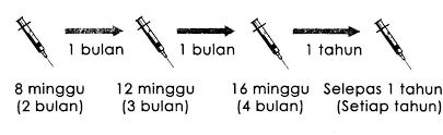 Dengan metode pengertian dan contoh soal tahun ke minggu agar mudah dipahami. Kucing Jalanan My On Twitter Pada Umur Berapa Nak Vaksin Kucing Ni Seawal Yang Boleh Bermula Umur 8 Minggu Protokol Suntikan Adalah Seperti Berikut Https T Co Hldasdo2ii