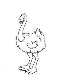 You can use our amazing online tool to color and edit the following ostrich coloring pages. Free Printable Ostrich Coloring Pages For Kids