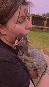 Poule Qui Crie Un Prénom Beatrice